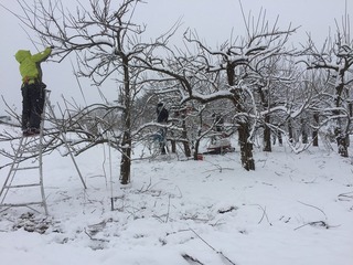 IMG_2114.jpg